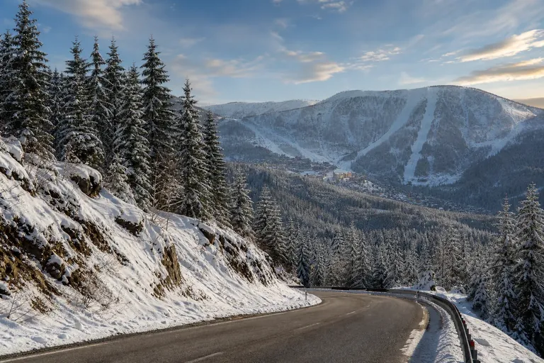 Snežne padine, šuma i planinski put na Kopaoniku